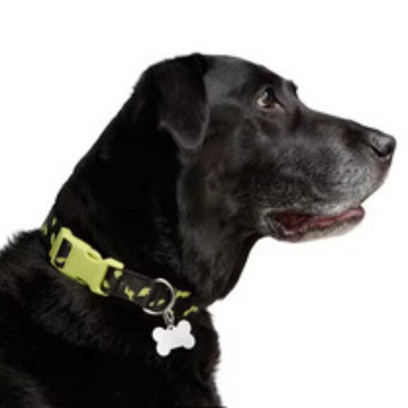 NWT ~ Bootique Glow Bat Dog Collar (Size:  Extra Small/Small ) - Picture 1 of 7